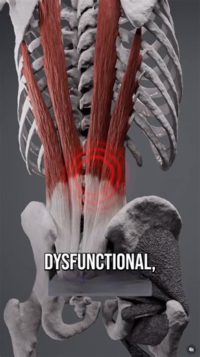 Conor Harris on Instagram: "A lot of people are generally aware the diaphragm and low back pain have a connection. But the overwhelming majority don’t understand this connection and why it matters, let alone how to resolve the most common problem. Here’s what you need to know."
