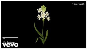 SO SERIOUS Lyrics - SAM SMITH | eLyrics.net