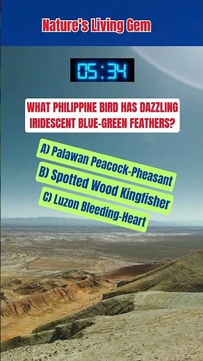 Palawan Peacock Pheasant #facts #discoverph #travelguide