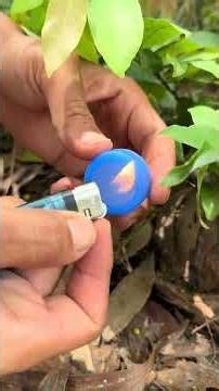 The guys show SURVIVAL skills save WATER #camping #bushcraft #Outdoors #survival