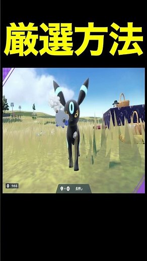 予告編【ポケモンSV】色違いブラッキー！大量発生とサンドイッチの作り方！昼から夜にする方法も紹介【色違いポケモン】#Shorts