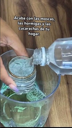 With this you can get rid of flies, ants, cockroaches and moths in your home.