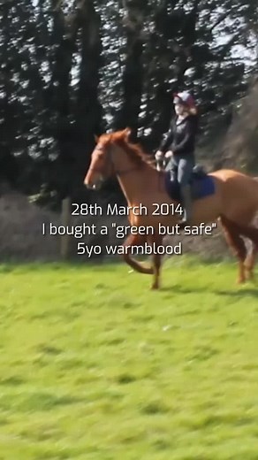 Problem horse ➡ absolute team mate 💪 This is Henry's story & I'm so proud of how far we've come. #classicaldressage #horserehab #horsesoftiktok #equestrian #equestrianlife