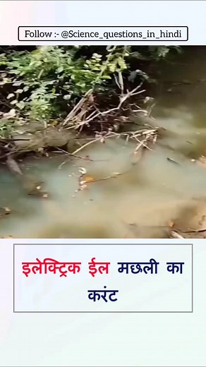 6K reactions · 149 shares | पोस्ट को Like जरूर करें ❤ @science_questions_in_hindi हर दिन कुछ नया सिखने के लिए इस Page को Follow जरूर करें  @science_questions_in_hindi #sscgk #reet #ɢᴋɪɴᴅɪᴀ #sciencegk #sciencefactslovers | science_questions_in_hindi | Facebook