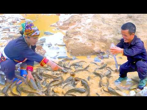From Storm Recovery to Fresh Catch | Dwarf Family Rebuilds Their Fields with Hope
