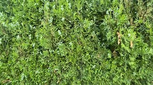 A message | Bara Science Lab