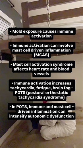 She Deals Collective | Non-Toxic Healing & Nervous System Growth on Instagram: "For months, my body was stuck in a chronic inflammatory state. My immune system never stood down, and my mast cells were constantly degranulating, releasing mediators that drive even more inflammation and directly affect blood vessels, heart rate, and autonomic control. With POTS, that kind of nonstop immune and mast cell activation can push an already dysregulated system into overdrive, making symptoms feel unbearab