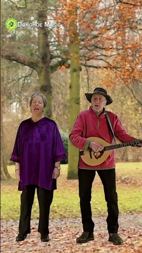BLOWING IN THE WIND - BOB DYLAN - INSPIRED FOLK COVER - The song that changed folk music - Donohoe