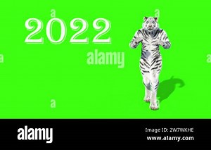 2022 year of the tiger, 3D model of the animal dancing, animation, green background Stock Video Footage - Alamy