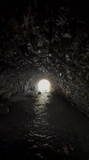 22K views · 254 reactions | Fed by Cypress Pond, this water runs...