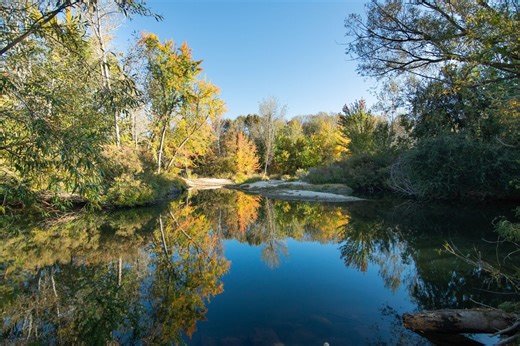 Eagle Island Campground, Eagle Island State Park, ID - Campground Map | PerfectCamp