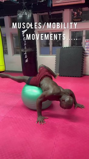 Movements is key! Muscles with no mobility is a hazard 😓. Gym Aesthetics Gym Aesthetics USA #fitness #fitnessgoals #fit | Alain 'The Panther' Ngalani