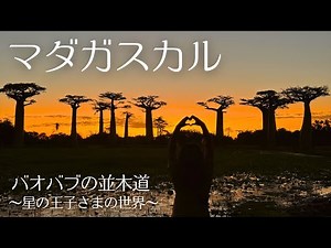 【マダガスカル】バオバブの夕焼けが美しすぎる...