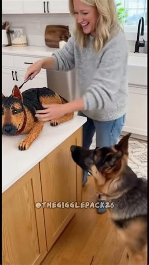 🤣😱German Shepherd Reacts to Fake Cake… You Gotta See This!🐶🍰#shortvideo