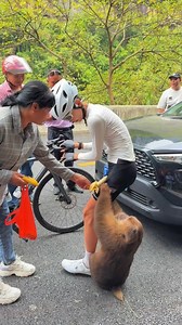 1.4M views · 4.3K reactions | This Joke Is What Monkeys Hate The Most  #Monkey #reels #gonewrong  Credit : The World Of Chinese on TT  Music: Scheming Weasel faster by Kevin MacLeod | KhoVen | Facebook