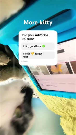 like and subscribe for more kitty #funny #comedy #cat #edit #funny #funnycats #funny