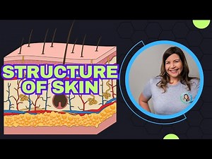 Integumentary System | Anatomy of the Skin