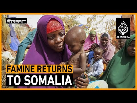 Famine in Somalia: What can be done to stave it off? | The Stream
