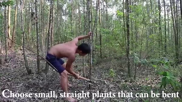 20 Days Survival Challenge In The Jungle