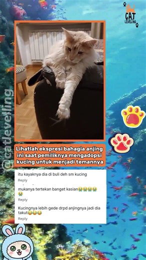Aura premannya kuat banget😹