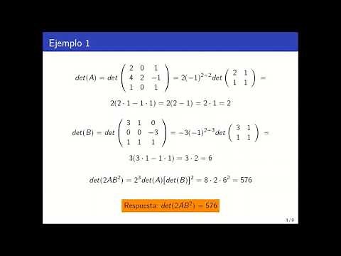 22 - Determinantes. Propiedades, calculo de determinantes y ejecicios con parámetros.