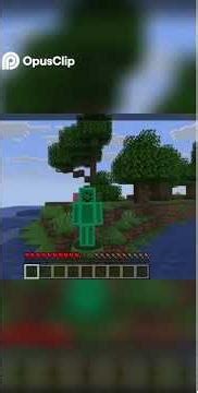 Minecraft chaos mod is well... chaos