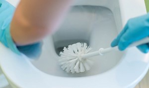 Clean It, Fix It: Maxine reveals how best to remove toilet limescale