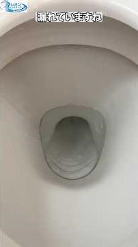 Is your toilet leaking from the bowl or tank? Replacing the DT-3840 diaphragm and flapper valve #...