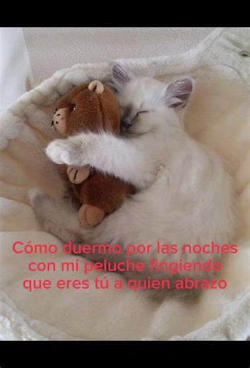 #vida #paradedicar #amoaminovia #animalesbonitos #textorojo | cute animals