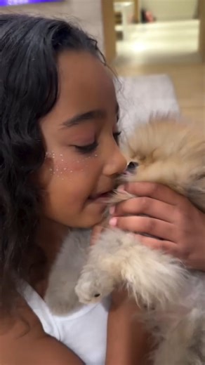 Kim Kardashian's Kids Play With Their New Puppies #kimkardashian #shortsfeed #shorts #kardashiankids