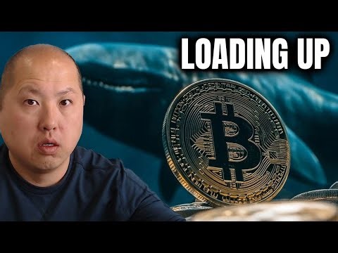 Bitcoin Whales Are Loading Up Right NOW