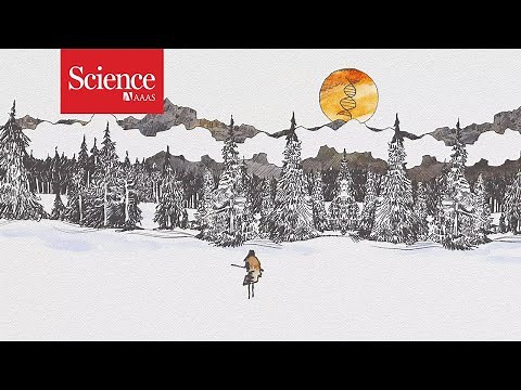 DNA tracks mysterious Denisovans to Chinese cave, just before modern humans showed up