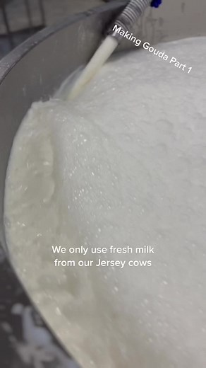 Gouda Cheese Making: Step-by-Step Guide