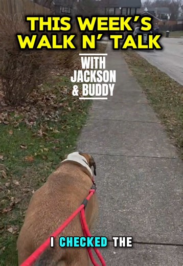 You’re involved in politics, whether you like it or not! #Jackson4Ky #kentucky #kentuckypolitics In Kentucky, you’ll find plenty of people who say “I don’t do politics”. The wild thing about that statement, is there’s no way for it to possibly be true. Politics is all around us, and regardless of whether or not we want to engage with it, it engages with us. From laws we abide by to the people we send to state legislature to represent us, we all “do” politics in some way or another. We’re looking