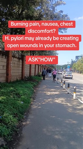 Understanding H. Pylori: Causes and Symptoms of Ulcers