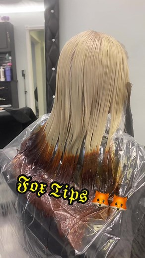 Fox Tip Hair Color Ideas for Fall