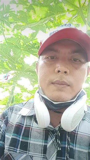 van cao on TikTok