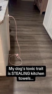 1.5M views · 40K reactions | Alone in the middle of a field in Texas,...