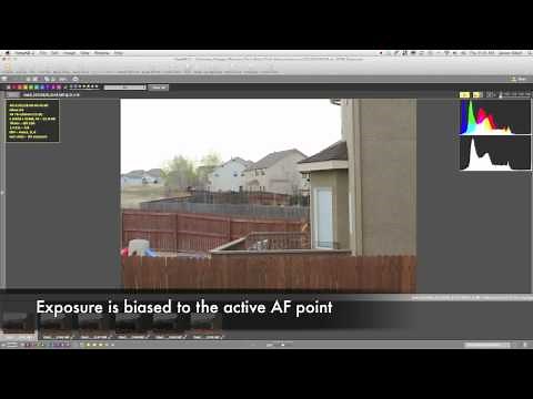 Nikon Matrix Metering