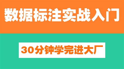 26年最新AI数据标注师实战入门课程全集！入行AI训练师，大模型标注师可学！