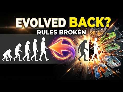Evolution Reversed 10 Animals That Broke the Rules of Nature