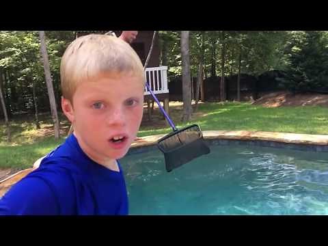 SNAKES IN THE POOL! AGAIN? Are you kidding me??