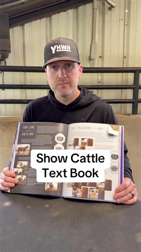 Our show cattle text book - Before the Banner #livestock #livestockshow #cattleshow #showcattle