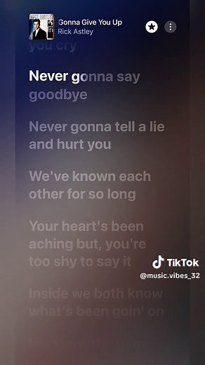 Never Gonna Give You Up Lyrics by Rick Astley
