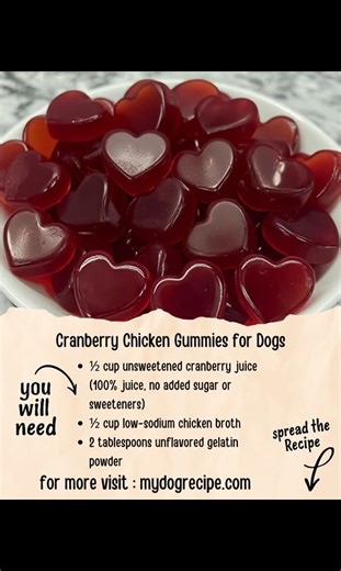 452K views · 4.8K reactions | Save this for the holidays — your dog will absolutely love it! ❤️ | Homemade dog food treats | Facebook