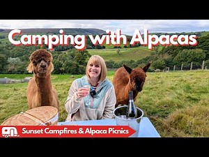 Howgill Lodge, Yorkshire Dales | Caravan Vlogs from Mac & Sarah