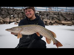 Jigging For Northern Pike (Catch Clean Cook) | Wisconsin Ice Fishing