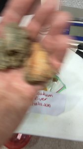 Let’s Cut Some Rocks from Heather! ❤️🤩 #cutting #rocks #crystals #agate #gems #minerals | OPE Rocks