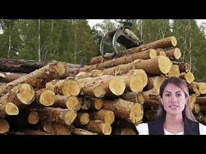 Mahogany Wood Types, Properties & Uses | AtoZ Wood Company