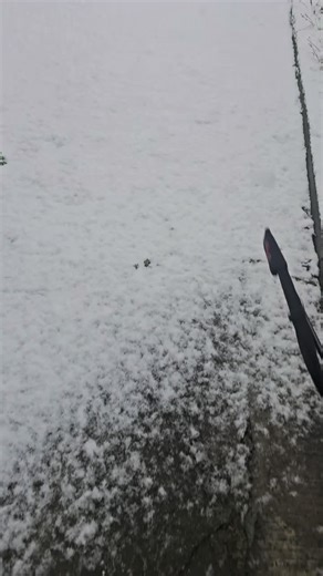 @CatchNFlow | Fishing @SaltySheilaSeaFishin🎣FWC @OB FWC @porkchop FWC Pro Staff @208 Idaho Sturgeon @SoFreshFishing @Tonna Just Hookin'🇺🇸 | FWC @Charlie Hookem LLC and more FWC Members, Love you FWC FAMILY 🐟🐟🐟❤️❤️❤️😊😊😊🇷🇸🇷🇸🇷🇸🇺🇸🇺🇸🇺🇸🇺🇸🇺🇸💪💪💪💪 #FWC #family #usafishing #serbiacrayfishfly #support